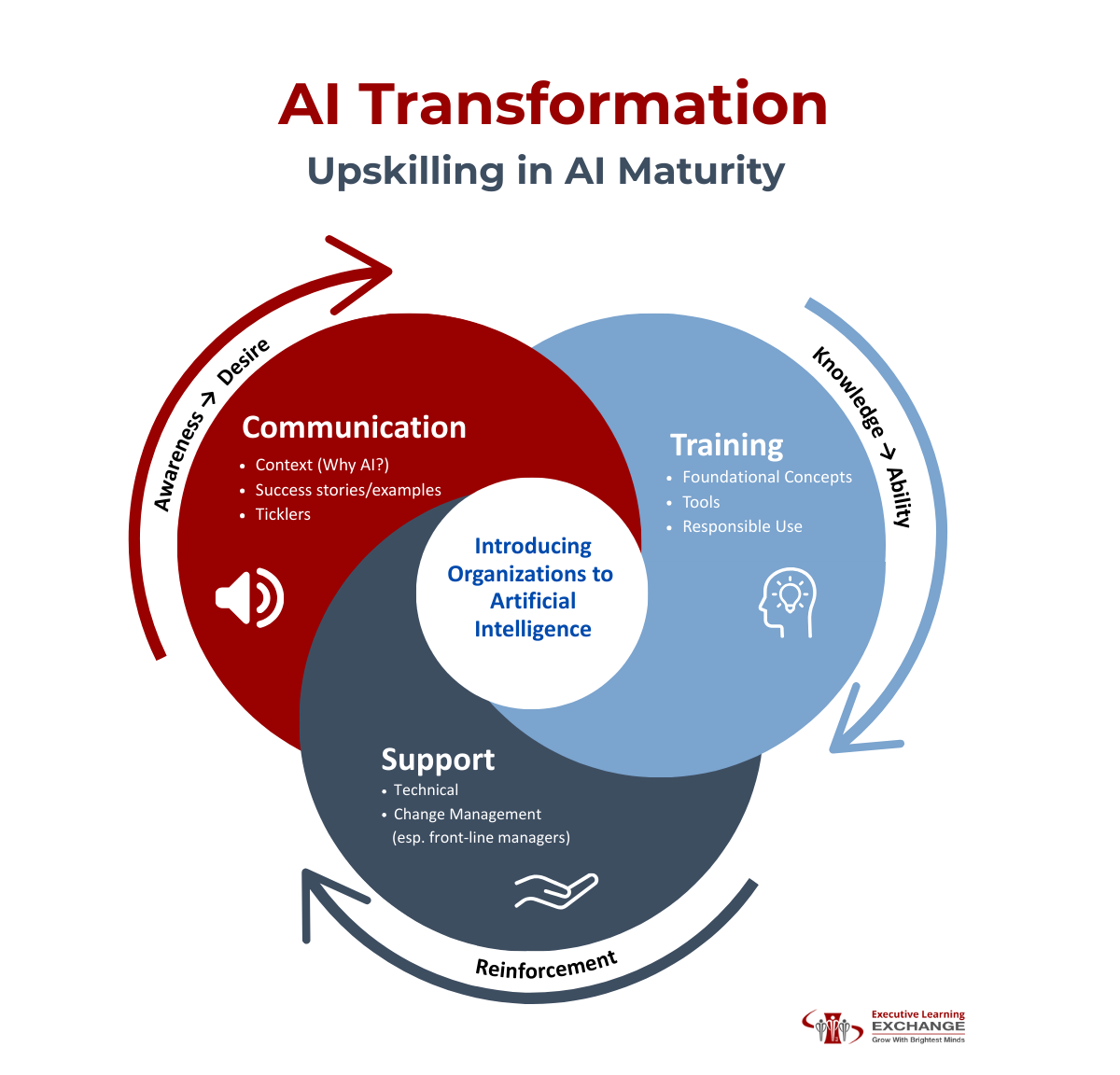 Upskilling in AI Maturity